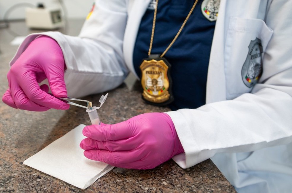 Substância foi identificada em parceria entre IGP e UFSCPA — Foto: IGP/Divulgação