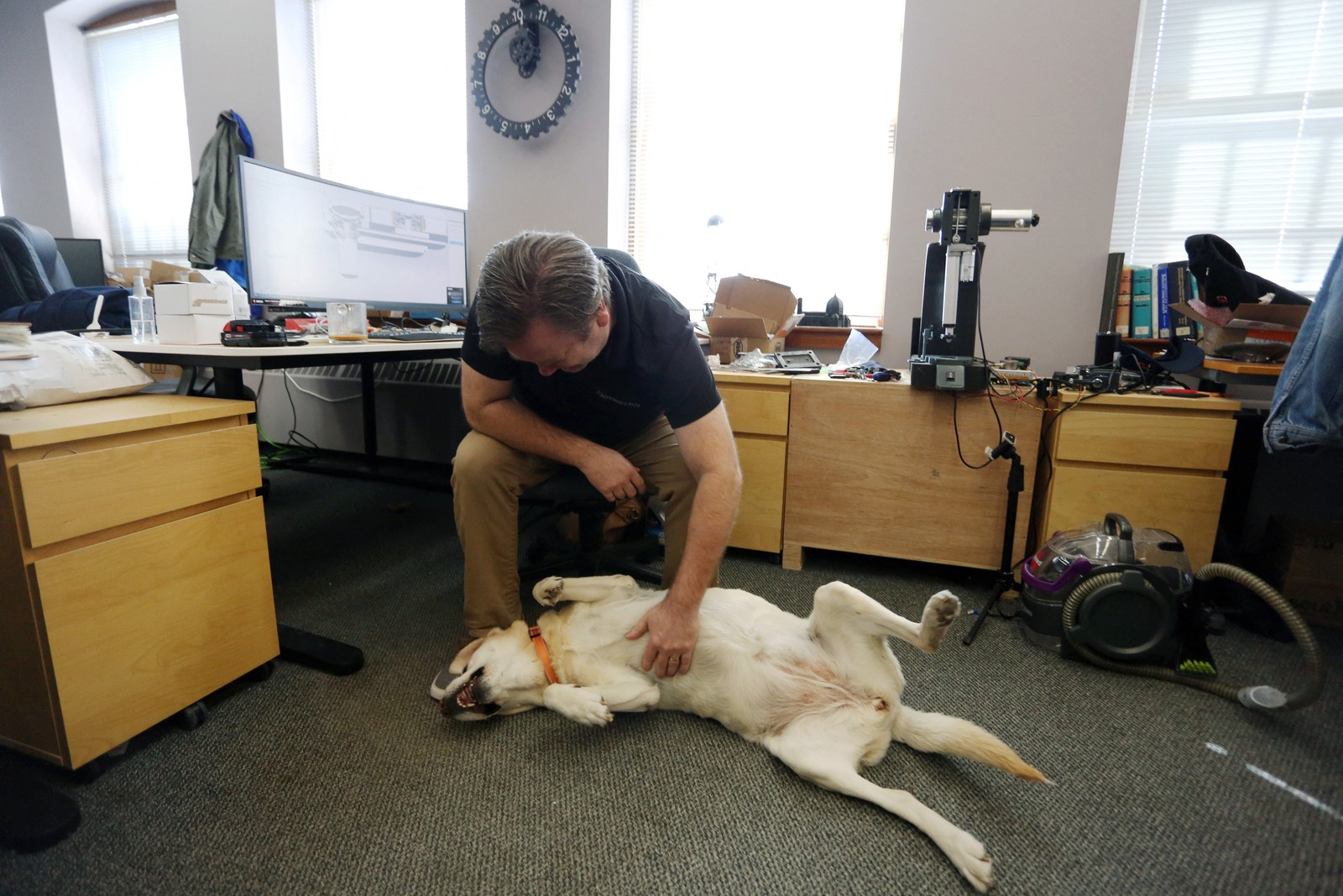 Dave McMullen faz carinho na barriga de Daisy na Tungsten Collaborative, que permite a presença dos animais durante o trabalho AFP