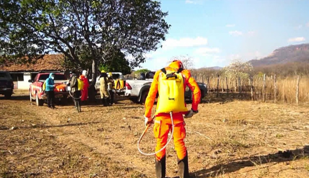 Brigadistas percorrem até 10 km e carregam bolsa com água de 22 quilos para combater incêndio no Piauí — Foto: Reprodução/TV Clube