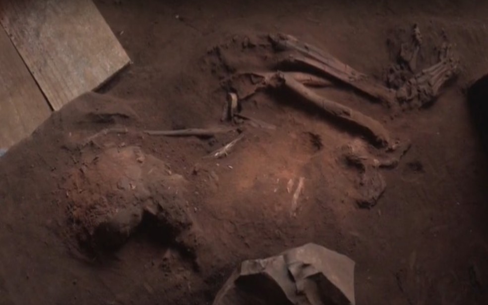 Esqueleto foi encontrado com todas as partes do corpo — Foto: Reprodução/TV Anhanguera 