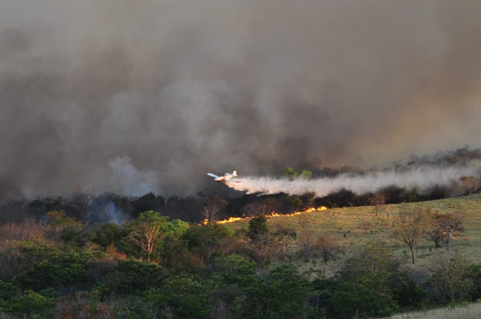 Governo reúne força-tarefa no combate a incêndios florestais na região de Alcinópolis e Costa Rica. — Foto: Antônio dos Reis