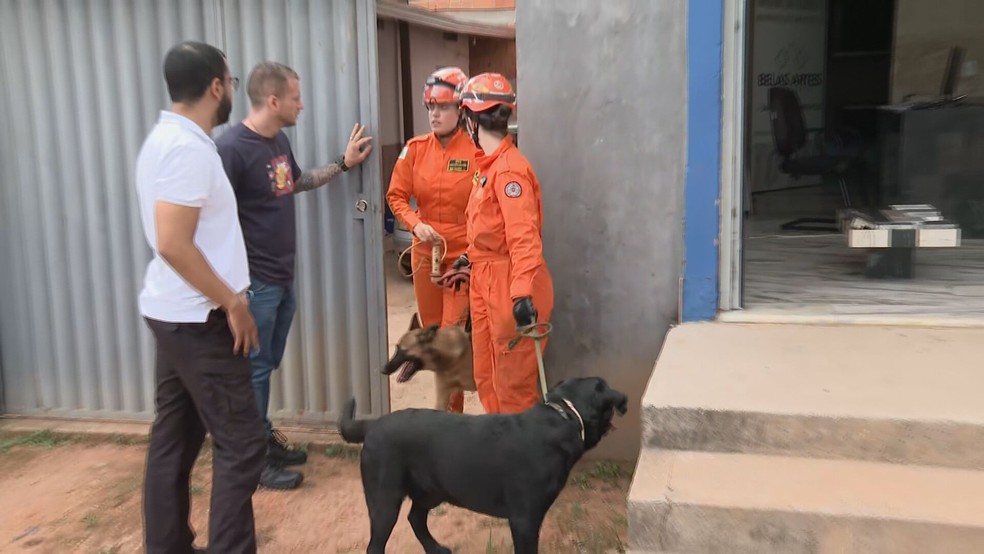 Cães farejadores ajudam nas buscas por família que desapareceu no DF — Foto: TV Globo/Reprodução