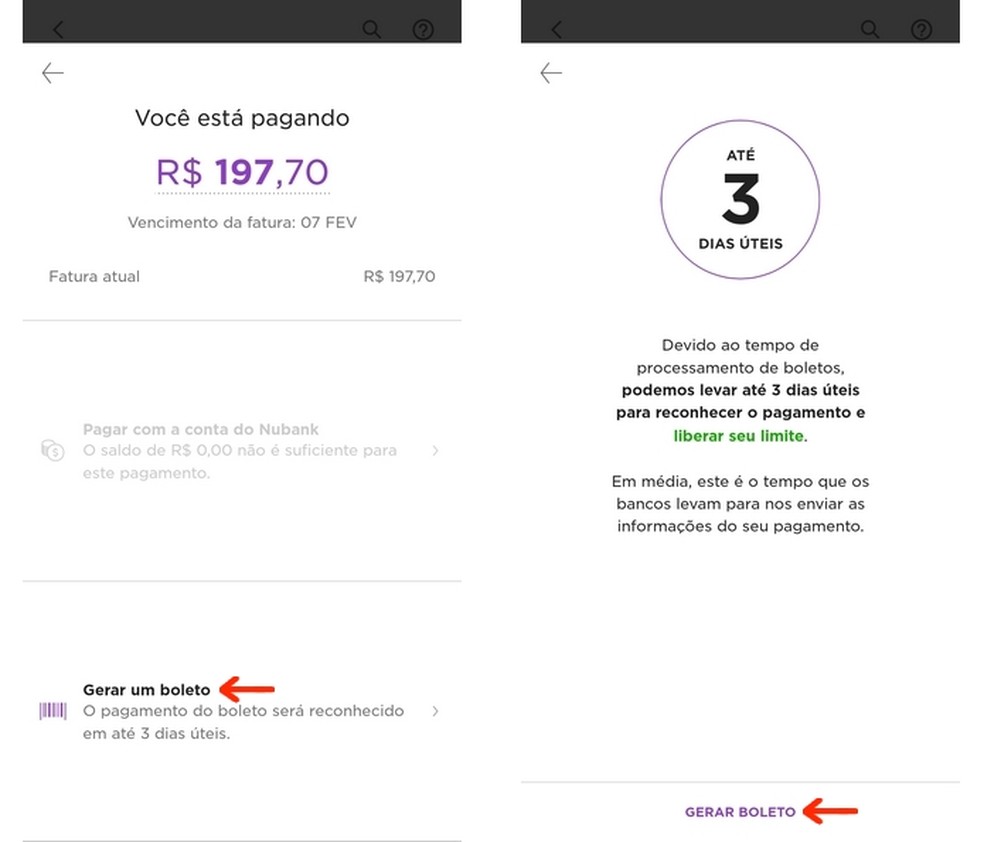 Procedimento para gerar boleto de pagamento da fatura Nubank &mdash; Foto: Reprodu&ccedil;&atilde;o/Raquel Freire