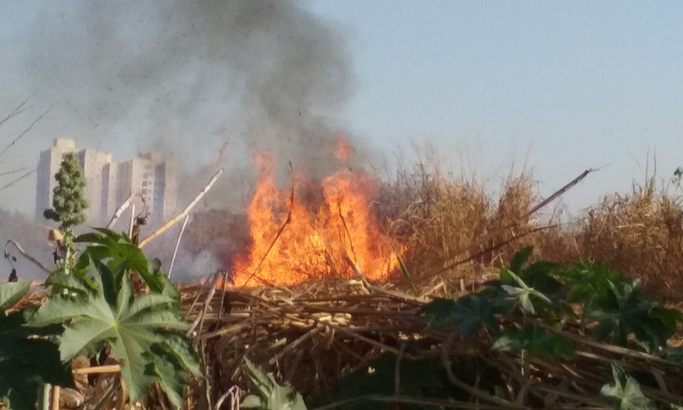 Foco de incêndio atinge área do Residencial Dona Margarida, em Santa Bárbara d'Oeste (Foto: Bruna Graciano)