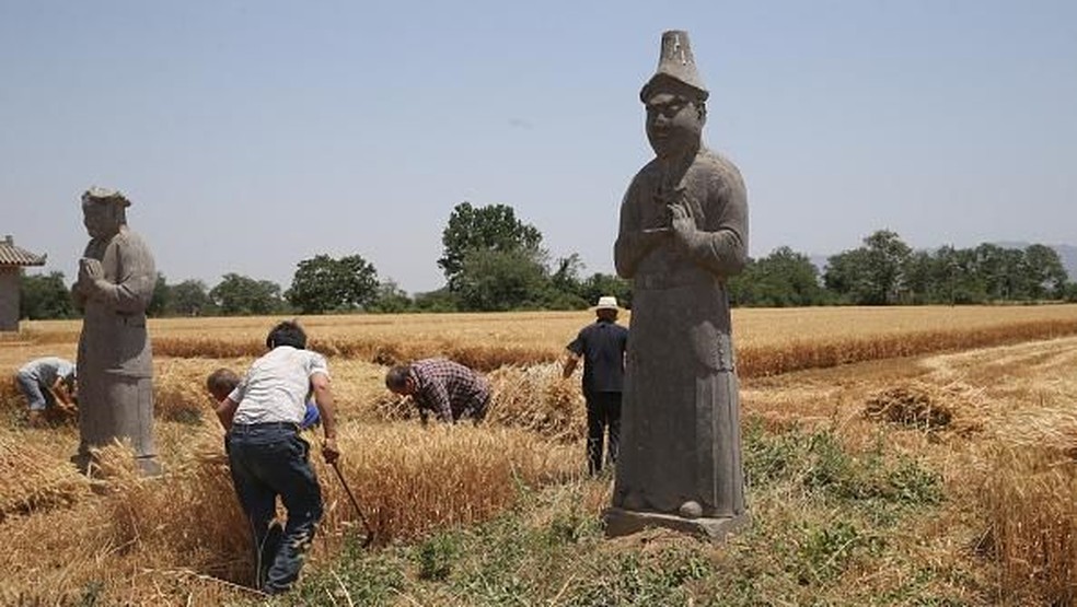 Na China, agricultura com domesticação de plantas começou há cerca de 10 mil anos — Foto: Getty Images/via BBC