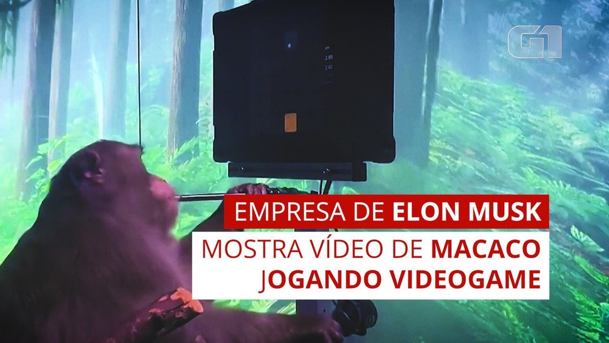 Empresa de Elon Musk mostra vídeo de macaco jogando videogame com a mente thumbnail