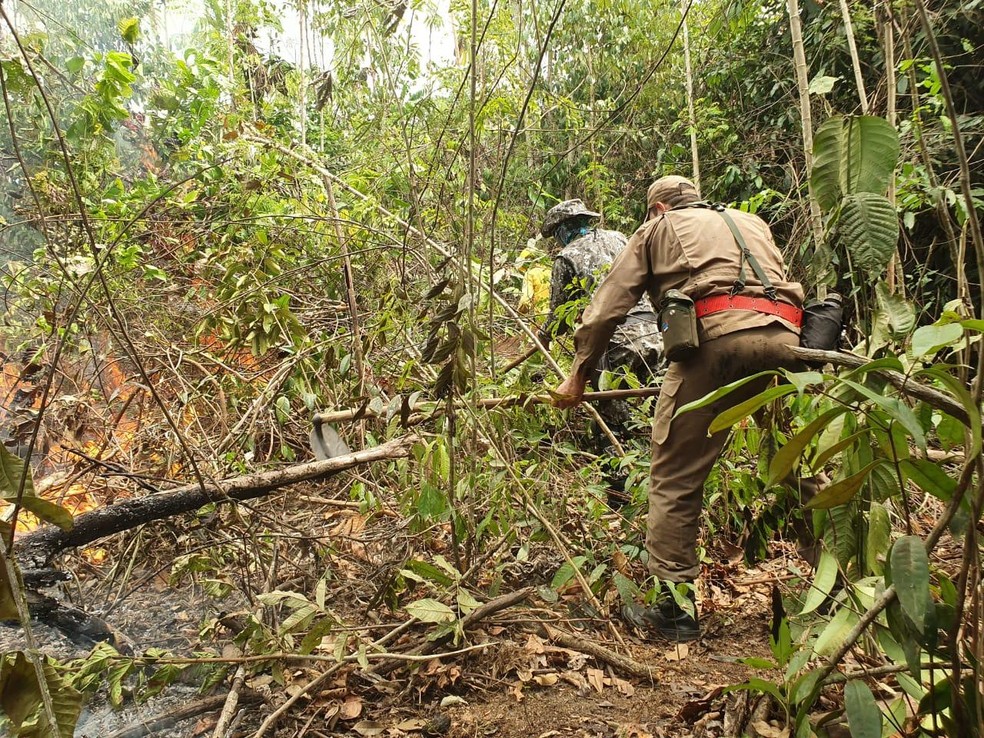 Equipes tentam controlar chamas em incÃªndio em floresta de RondÃ´nia â Foto: 17Âª Brigada/DivulgaÃ§Ã£o