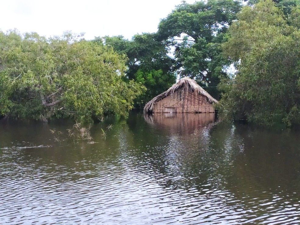 Água chegou a janela de casa após enchente em Esperantina — Foto: Defesa Civil/Governo do Tocantins