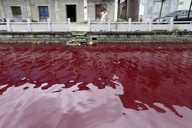 Autoridades ainda desconhecem o que causou a mudança de cor na água (Foto: Reuters/Stringer)
