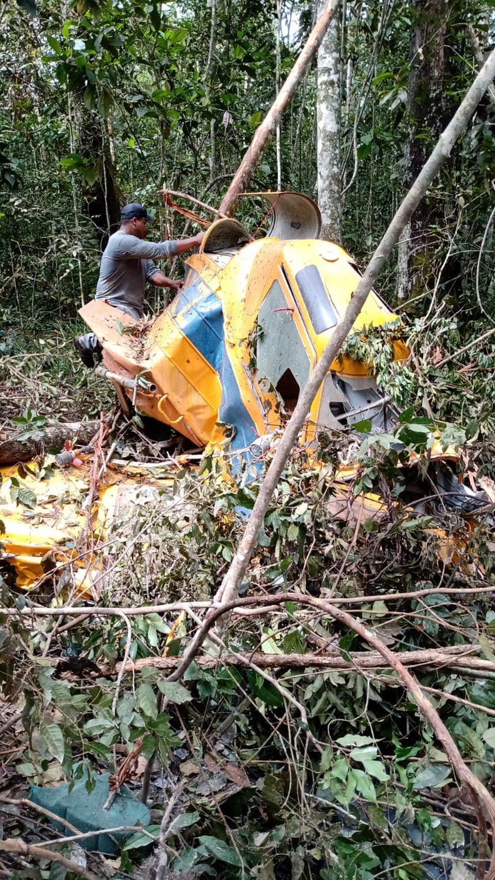 Avião agrícola ficou destruído após queda em área de mata — Foto: Divulgação