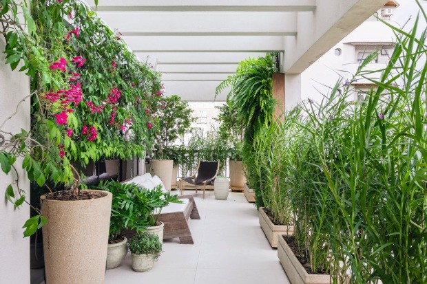 “Criamos diferentes setores nessa varanda de 50 m²”, diz a paisagista Bia Abreu (Foto: Rafael Renzo / Divulgação)