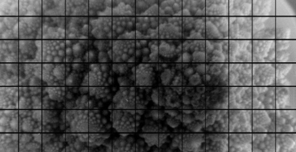 A reprodução de um romanesco - vegetal parente do brócolis - foi a primeira imagem feita pela super lente. — Foto: LSST Camera Team/SLAC/VRO/Carnegie Institution