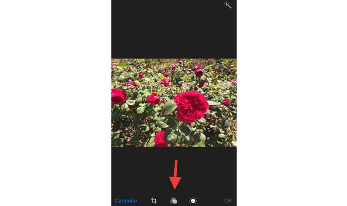 Este ícone do meio representa os filtros, como no Instagram (Reprodução/ Gabriella Fiszman)