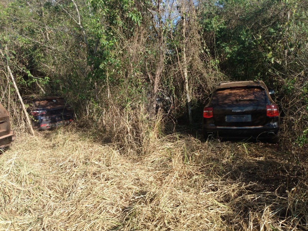 Carros de luxo foram encontrados em mata  — Foto: Arquivo Pessoal 