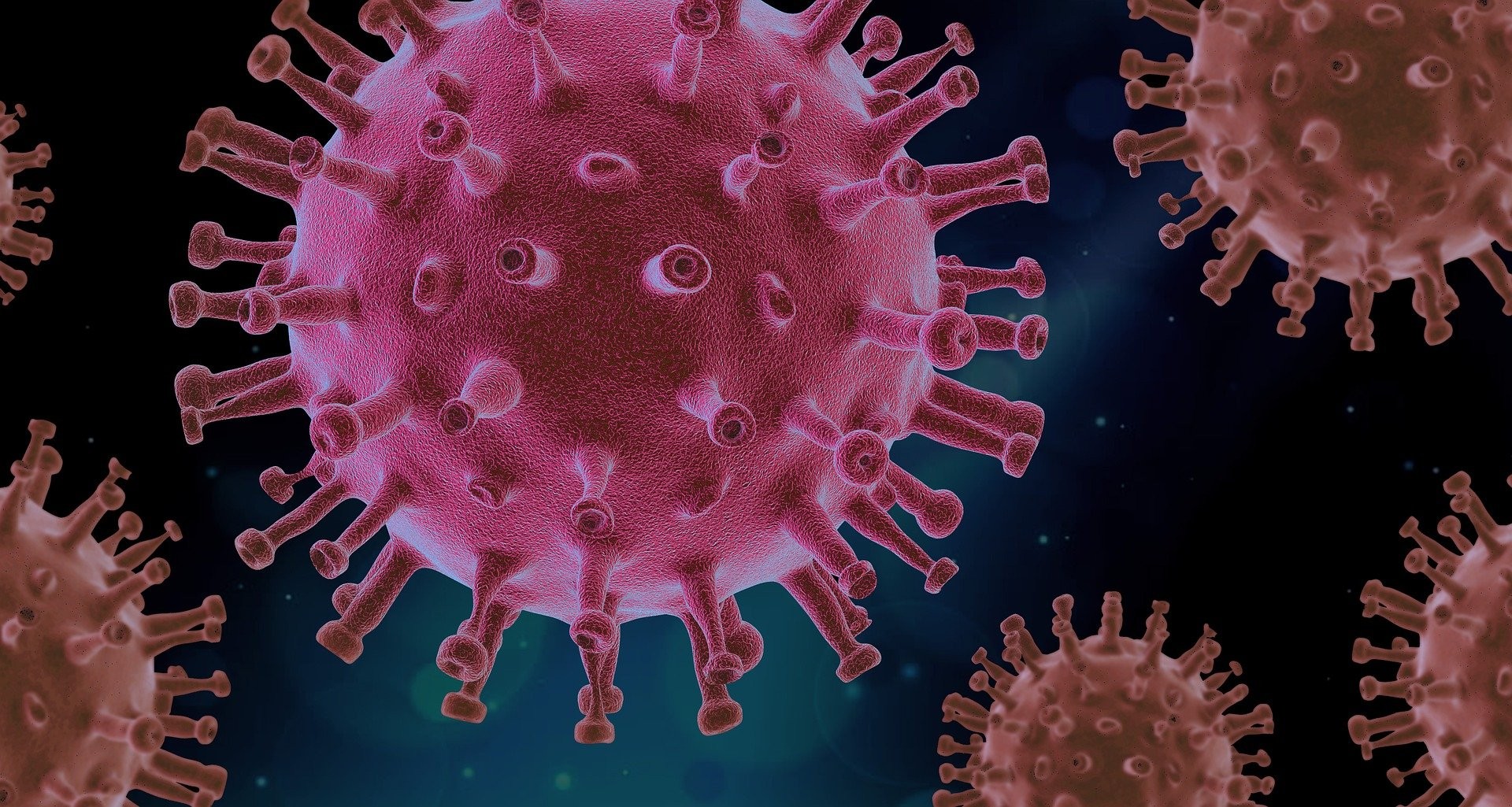 Imagem ilustrativa do vírus da COVID-19.  (Foto: pixabay)