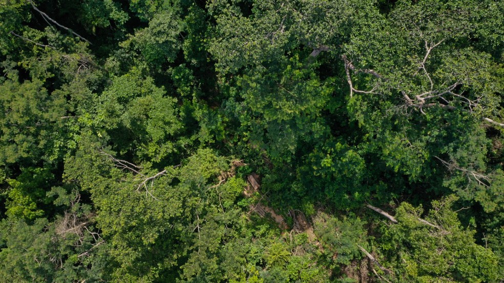 Foco Amazônia: Inteligência artificial que monitora governos da Amazônia Legal é lançada no AC — Foto: Arquivo/BP-AC
