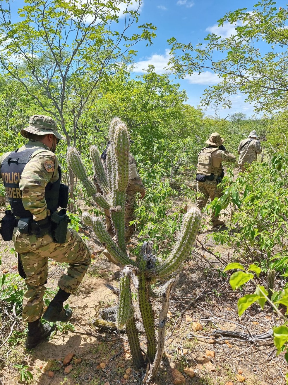 Polícia Federal realiza operação no Sertão de Pernambuco. — Foto: Polícia Federal 