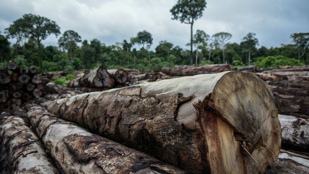 Diversas terras indígenas sofrem com impactos causados por grandes empresas (Foto: FELIPE WERNECK/IBAMA)