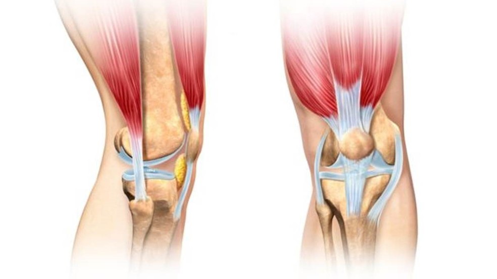 A anatomia do joelho é muito complexa — Foto: Getty Images/BBC