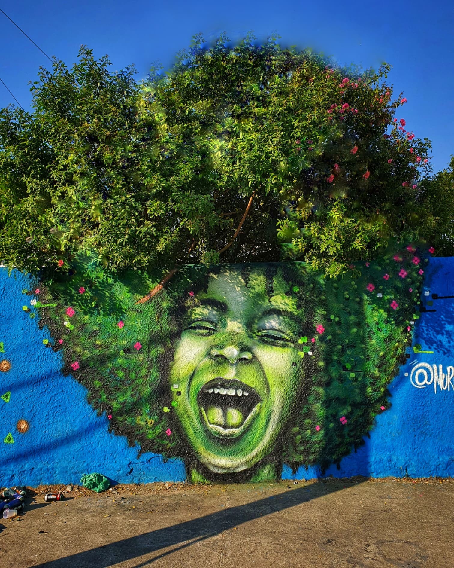 Garota de black power grafitada por Juan Nakamura (Foto: Arquivo Pessoal)