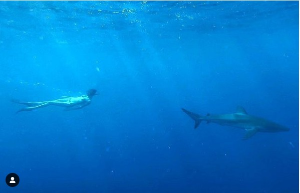 A atriz e modelo Cara Delevingne nadando próxima a um tubarão (Foto: Instagram)