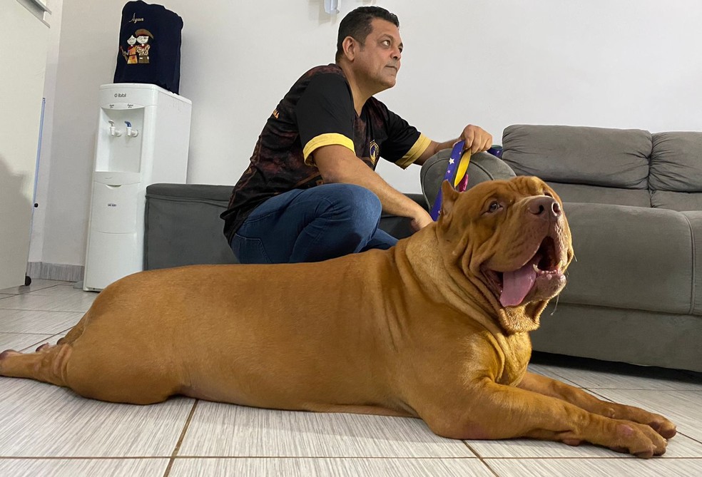 Drax, maior pitbull de Rondônia, e seu dono — Foto: Beatriz Galvão/g1