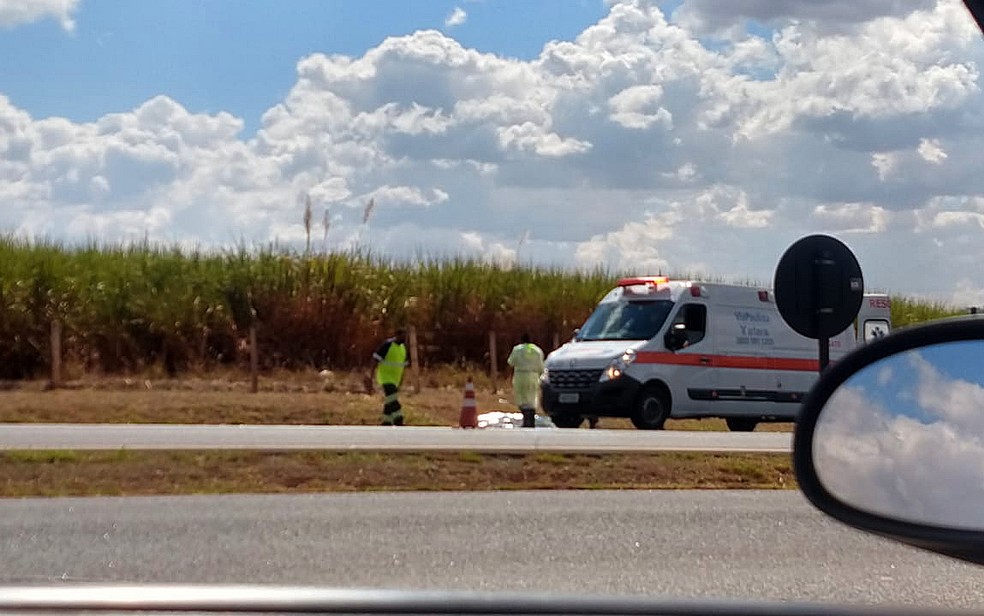 Ciclista morre ao ser atropelado por carro em rodovia de Jardin&oacute;polis (SP) &mdash; Foto: Carolina Arantes/EPTV