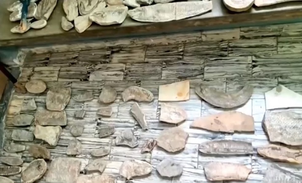 URCA solicitou à PF a posse dos fósseis encontrados na casa do padre. — Foto: Reprodução