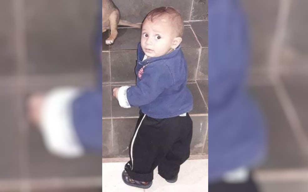 Henry Gabriel Marinho Vidal, de 1 ano, morreu após dias internado Jataí  — Foto: Reprodução/Arquivo pessoal