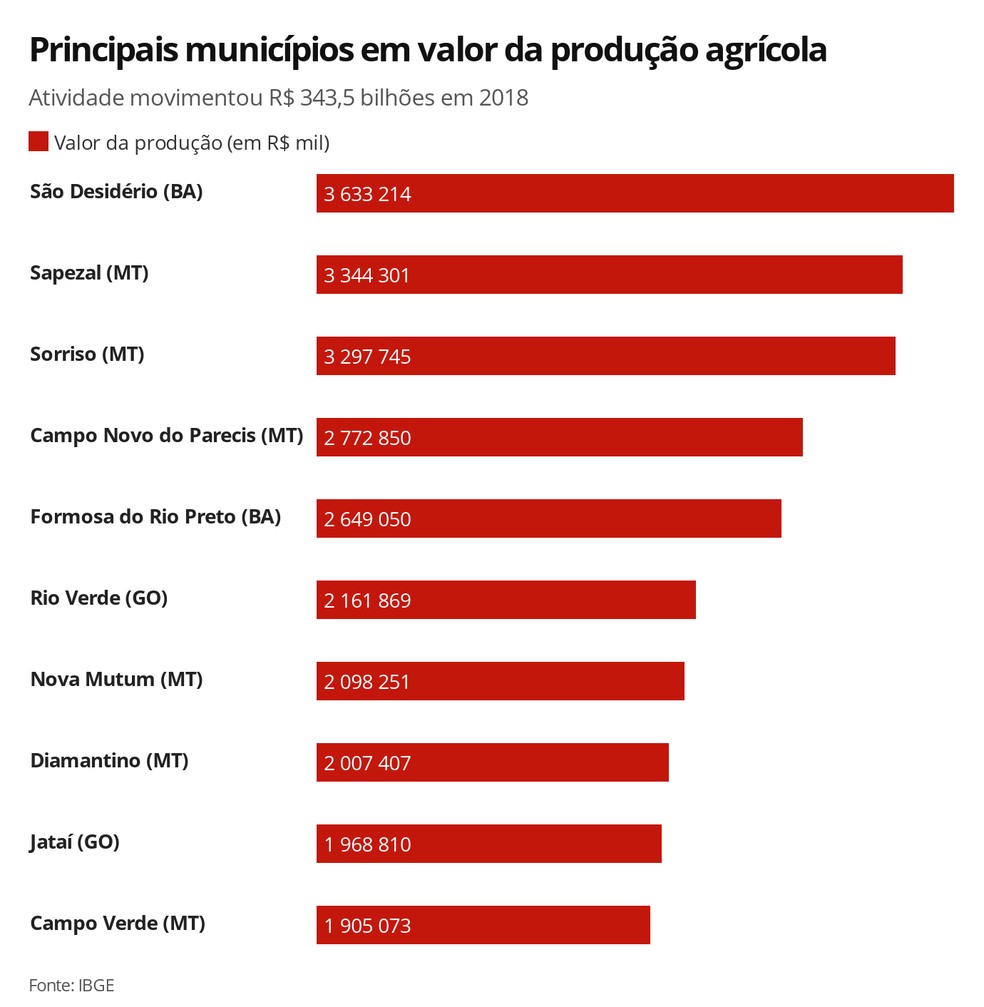 Top-10 municÃ­pios produtores, de acordo com o IBGE â Foto: Rikardy Tooge/G1