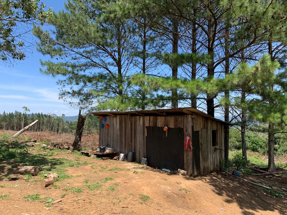 Operários não tinham carteira assinada e viviam no local desde abril, segundo MPT-PR — Foto: Procuradoria do Trabalho de Pato Branco