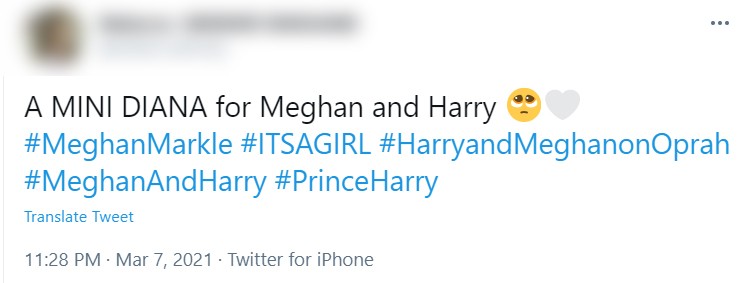Fãs de Meghan Markle e do príncipe Harry acreditam que a filha deles se chamará Diana (Foto: Reprodução / Twitter)