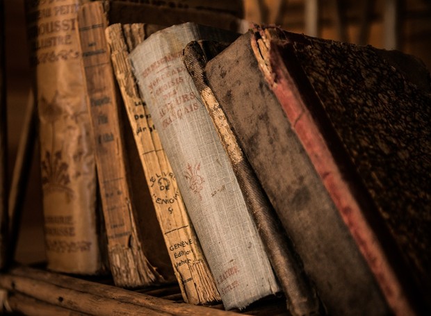 Para deixar as traças longe é importante evitar guardar livros e roupas muito velhas (Foto: Pixabay / Michal Jarmoluk /CreativeCommons)