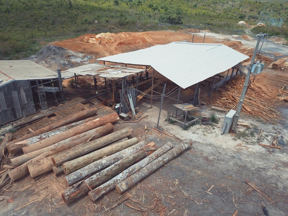 OperaÃ§Ã£o da PolÃ­cia Federal fecha serrarias que extraiam madeira ilegal no MaranhÃ£o â€” Foto: DivulgaÃ§Ã£o/PolÃ­cia Federal