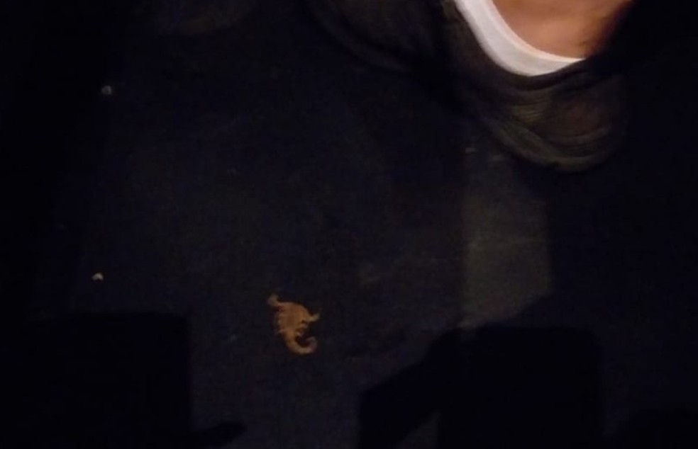 EscorpiÃ£o picou o pÃ© de Bueno apÃ³s retirada de almofada do assento em cinema de Araraquara â?? Foto: Arquivo pessoal