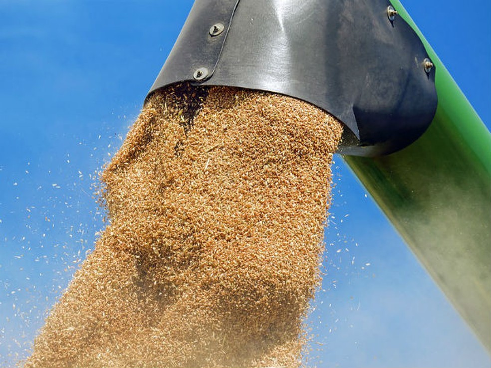 Mercado de cereais retoma crescimento no Brasil â Foto: DivulgaÃ§Ã£o