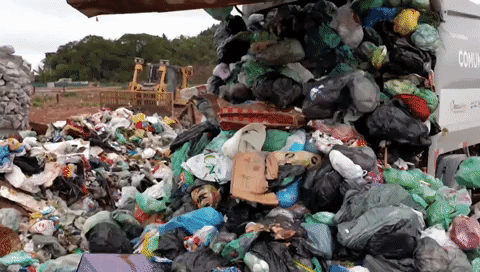 São Paulo é a cidade que mais produz resíduos no país: 12 mil toneladas por dia; veja dados