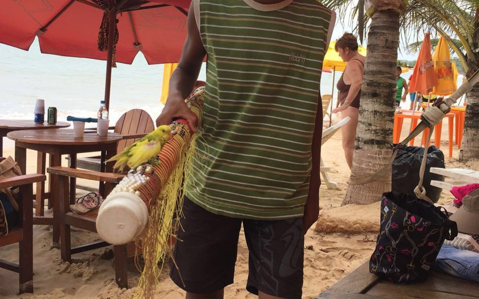 Quatro barracas de praia foram notificadas durante operação (Foto: Divulgação/ SRTE)