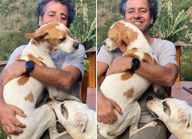 Marcos Palmeira com dois dos cachorros que é tutor (Foto: Instagram/@marcospalmeiraoficial/Reprodução)