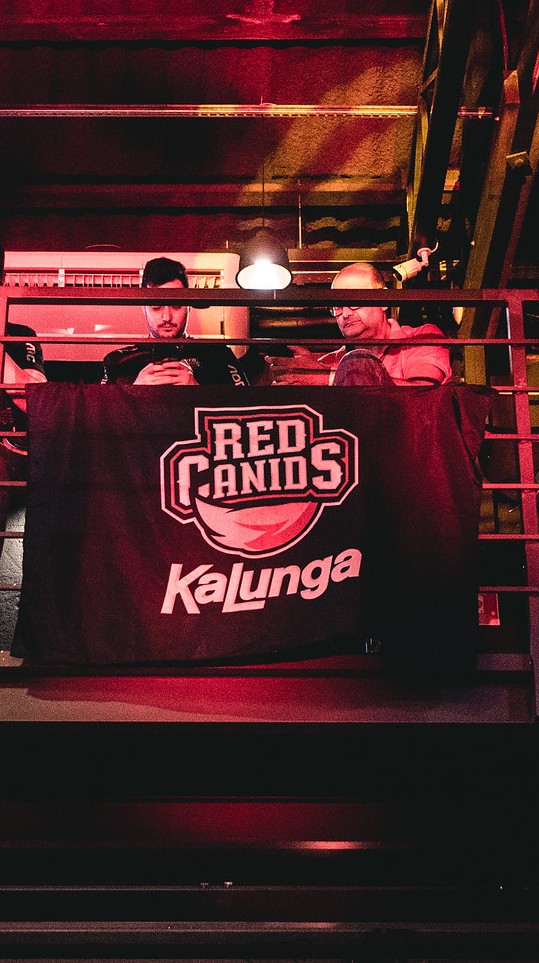 Entre renegados e streamers: Dono da Red Canids explica sucesso da equipe  finalista do CBLoL - ESPN