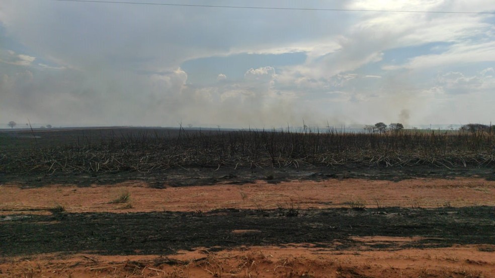 Incêndio atinge canavial em Andradina — Foto: Divulgação/Corpo de Bombeiros