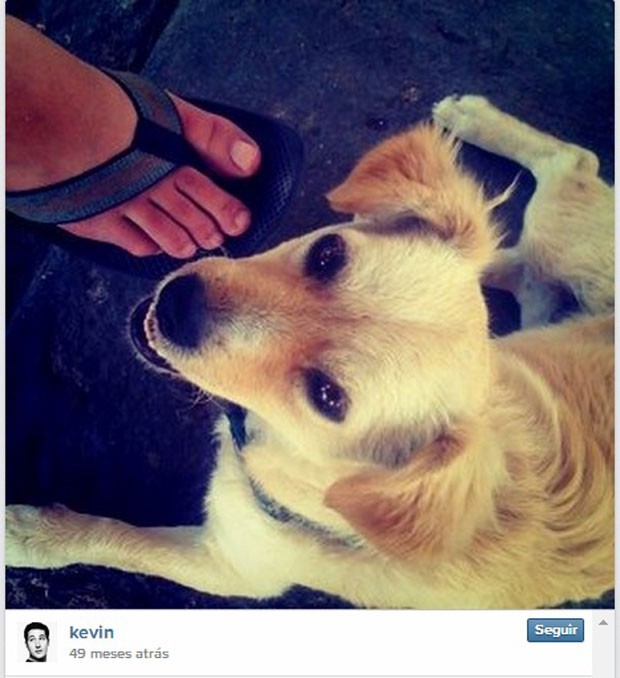 Фото с собакой как подписать в инстаграме