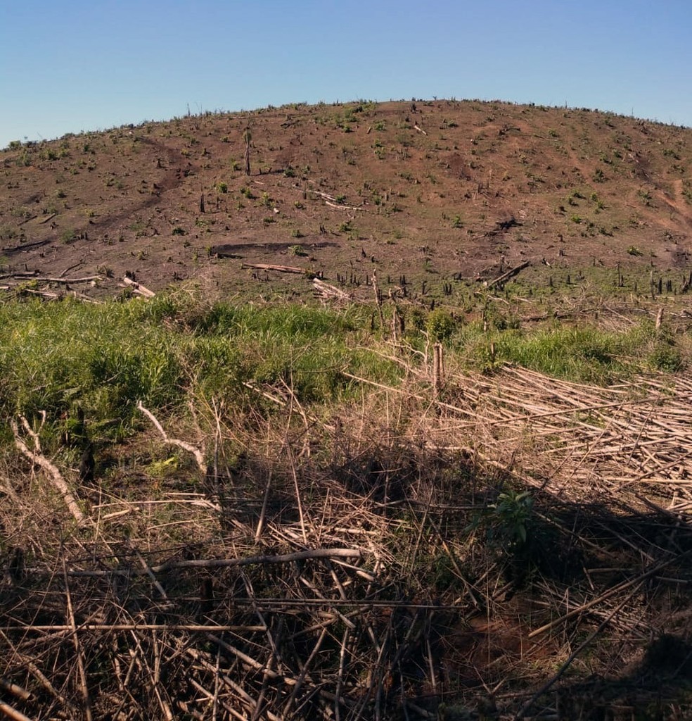 PM Ambiental fez flagrante de área desmatada em Iguape, SP — Foto: Divulgação/PM Ambiental