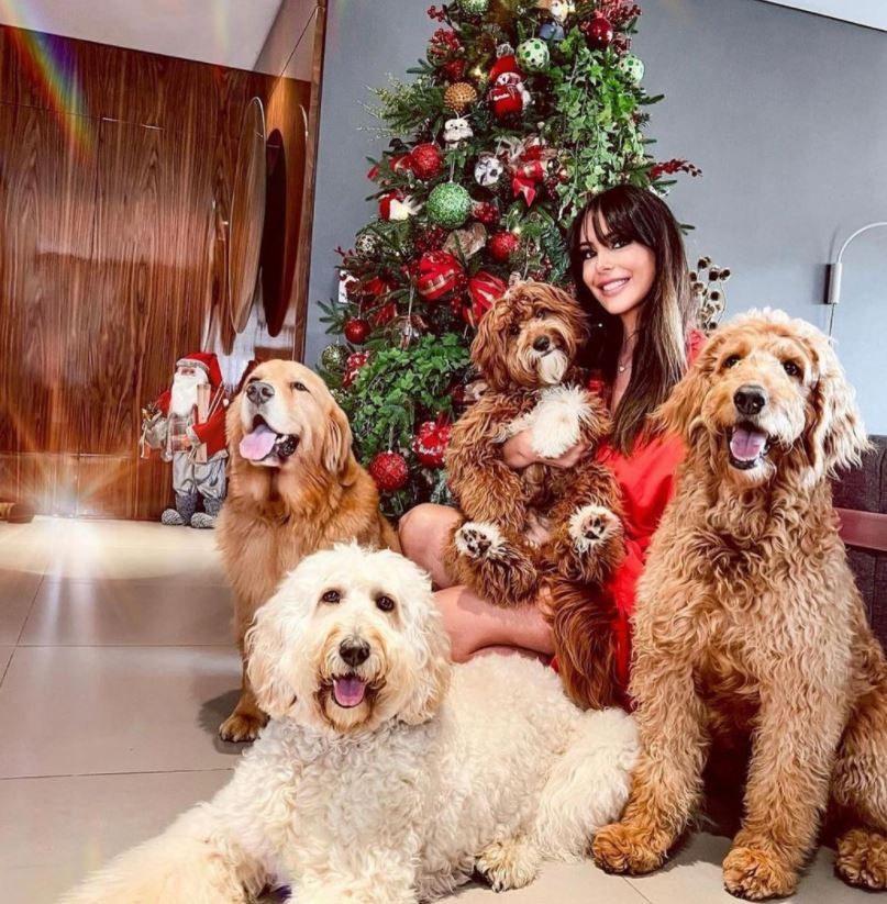 A família Mion é conhecida nas redes por ter vários cachorros! Suzana Gullo, esposa do apresentador, mostrou que apesar do tamanho, todos se comportam perto dos efeites (Foto: Instagram / @suzanagullo)