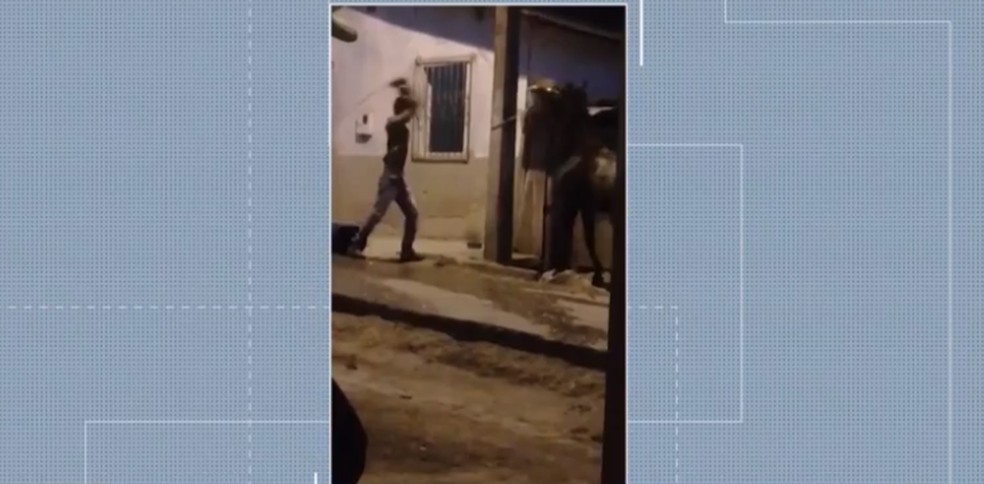 Um cavalo é agredido com vara em Itamaraju, na Bahia — Foto: Reprodução/TV Santa Cruz