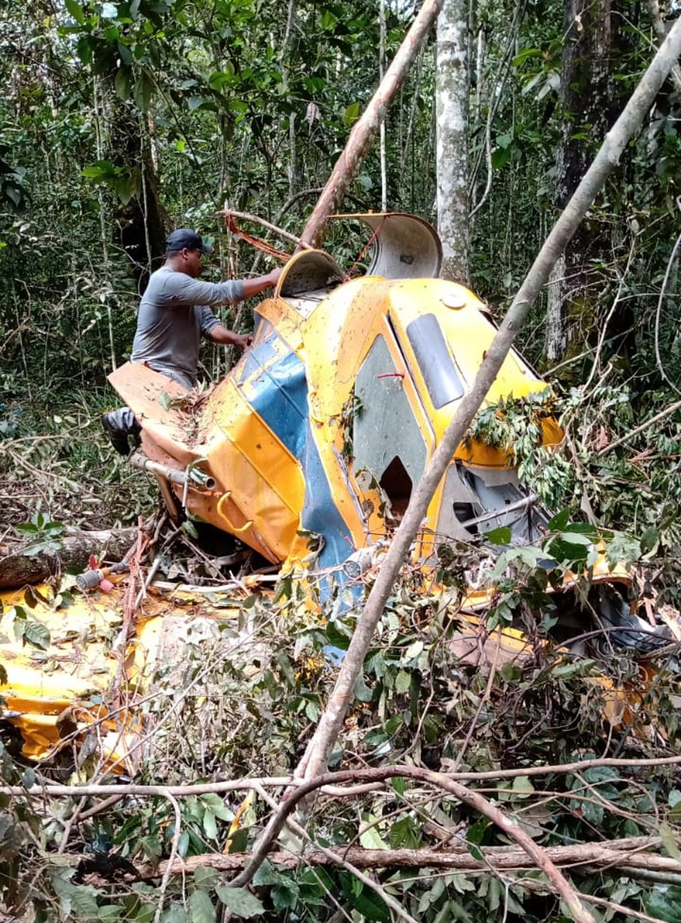 Avião agrícola ficou destruído após queda em área de mata — Foto: Divulgação