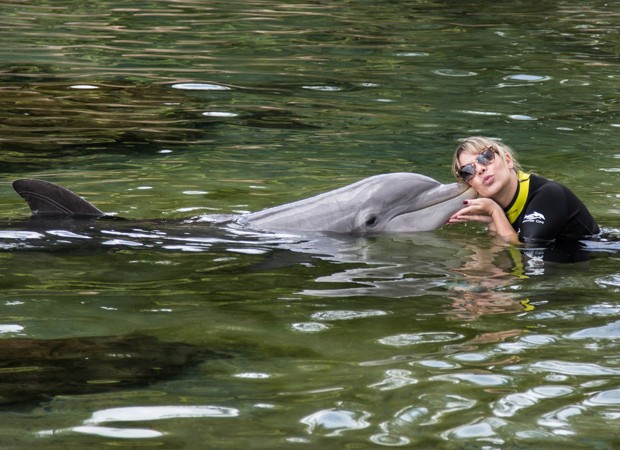 Fernanda nada com golfinhos no Discovery Cove (Foto: Júlia Seixas)