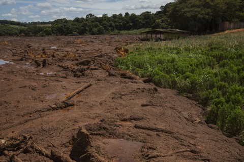 Propriedade à beira do rio paraopeba foi invadida pela lama