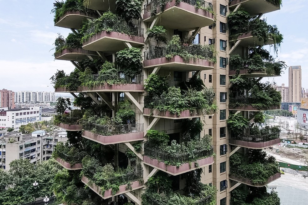 Apartamentos com varandas cobertas por plantas são vistos em um conjunto residencial em Chengdu, na província de Sichuan, no sudoeste da China — Foto: AFP