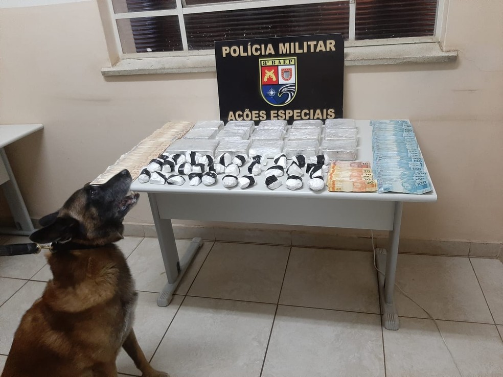 Ação contou com o apoio do Canil — Foto: Polícia Militar